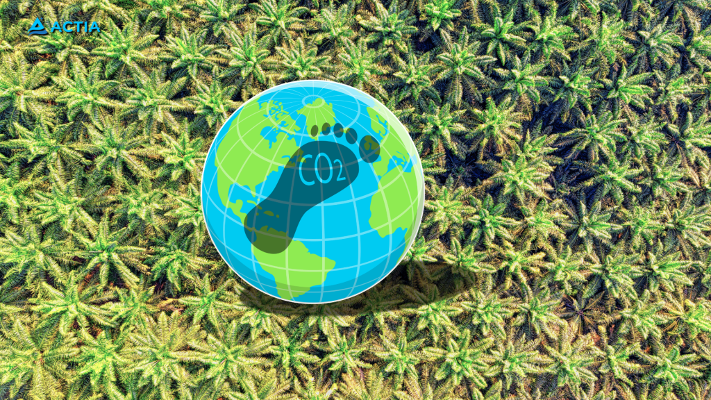 Jasa Penyusunan Carbon Footprint Product dan Jejak Karbon untuk Sektor Industri Minyak Goreng Kelapa Sawit