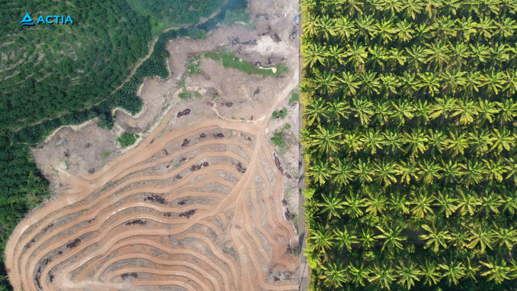 Jasa Pendampingan Pencapaian Net Zero Emission (NZE) Sektor Industri Minyak Goreng Kelapa Sawit