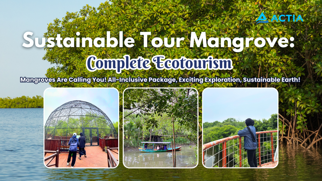 Sustainable Tour Mangrove Ecotourism Adventure