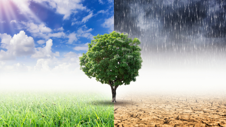 Climate