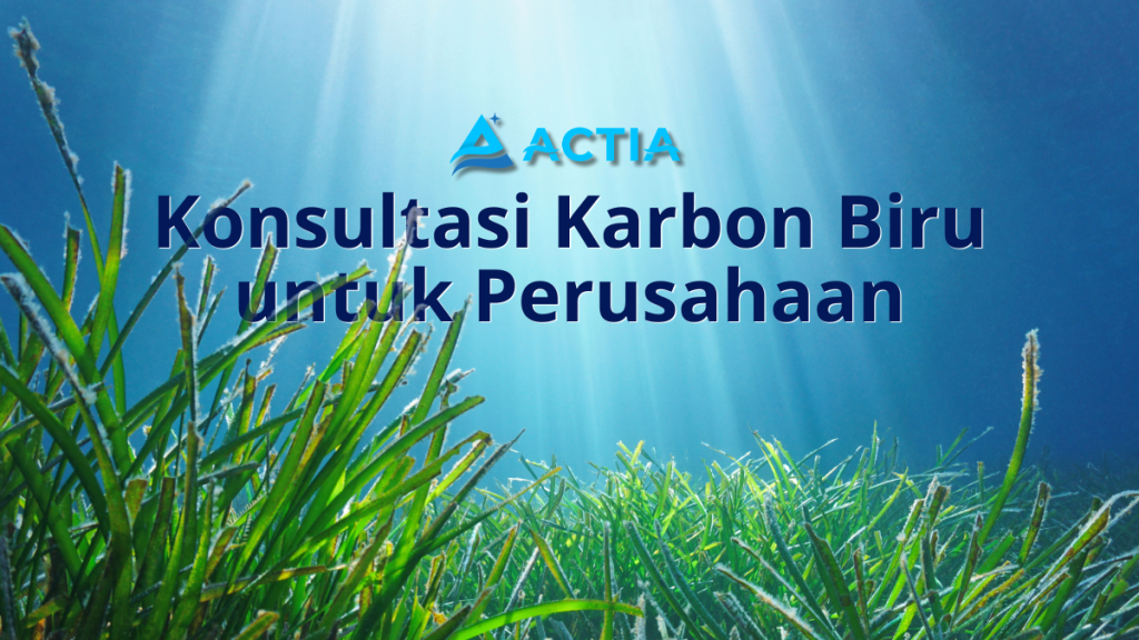 Konsultasi Karbon Biru untuk Perusahaan