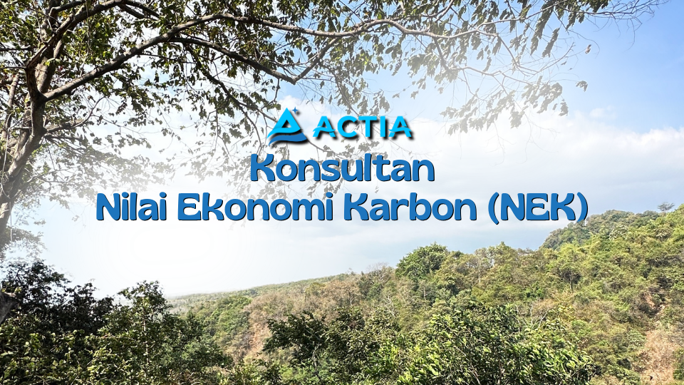 Konsultan Nilai Ekonomi Karbon (NEK)